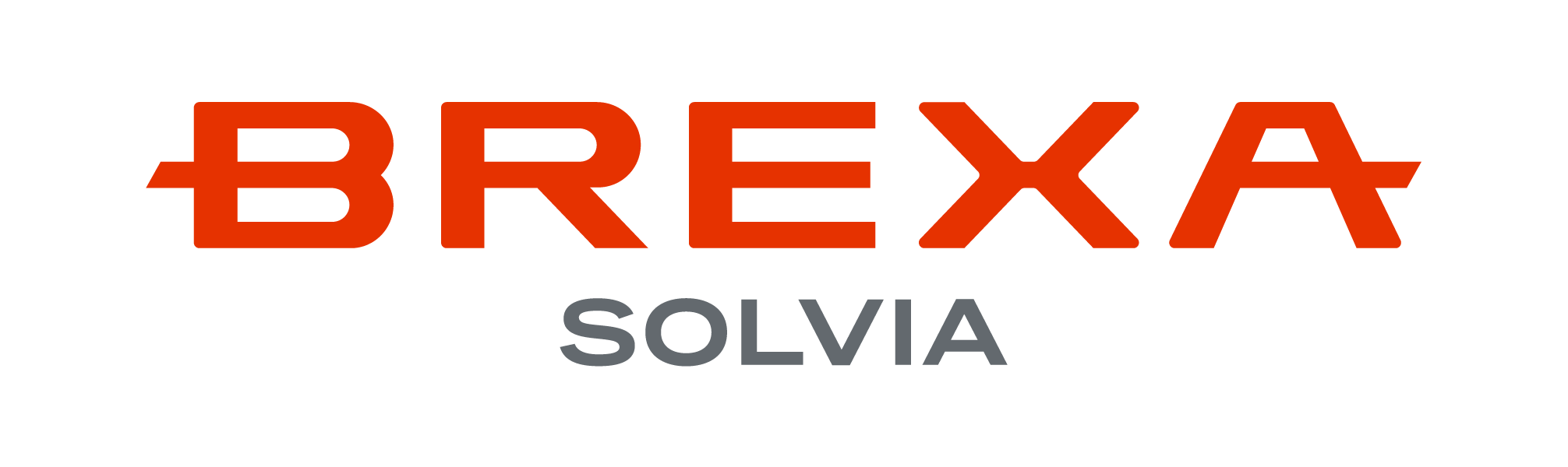 株式会社BREXA SOLVIA